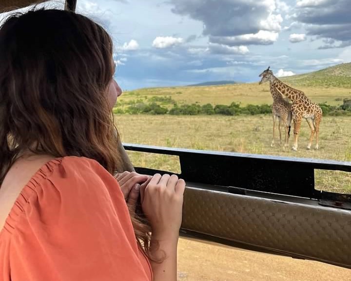 looking out the window at giraffes